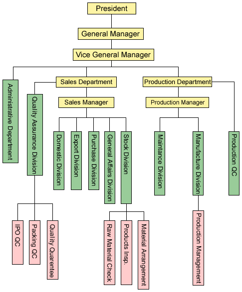 Organization Chart of Token