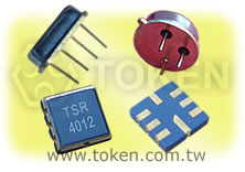 Remote Control Key Components (TSR)