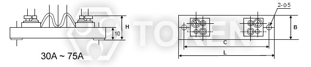 精密合金分流電阻器 FL-13 系列 (30A-75A)