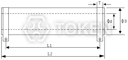 Tubular High Voltage Ceramic Resistors (RI85) Dimensions